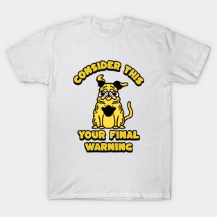 Consider This Your Final Warning Shirt, Funny Meme Shirt, Oddly Specific Shirt, Dog Meme Shirt, Dank Meme Shirt, Sarcastic Quote Shirt T-Shirt